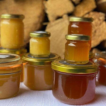 Lyzarska Bouda Domovina Hotel Špindlerŭv Mlýn Ngoại thất bức ảnh